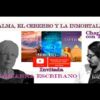 [ID: 1rNIybC_fjQ] Youtube Automatic