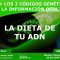 ADN: LOS 2 CÓDIGOS GENÉTICOS Y LA INFORMACIÓN OCULTA – Lolo Vidal