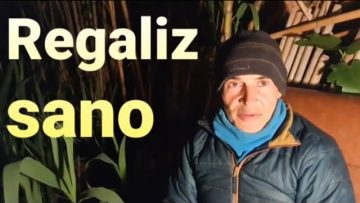 [ID: la2sTXTOqzo] Youtube Automatic