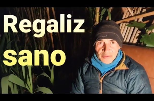 [ID: la2sTXTOqzo] Youtube Automatic