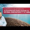 [ID: LxpCxalP9yk] Youtube Automatic