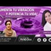 [ID: su3AdlwDmBw] Youtube Automatic