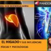 Privado: [ID: gDjn4g8z6A8] Youtube Automatic