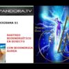 Privado: [ID: kisMJqjARho] Youtube Automatic