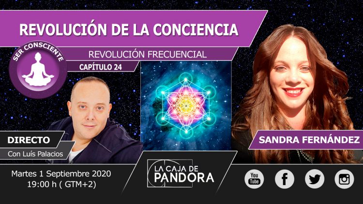 SANDRA 24