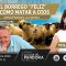 EL BORREGO “FELIZ”, O CÓMO MATAR A DIOS por Yolanda Soria