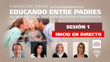 Privado: [ID: DUp9qaSkPwk] Youtube Automatic