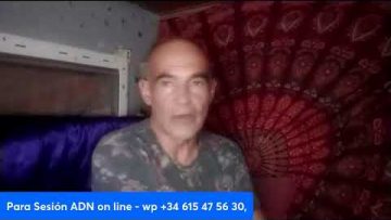 Privado: [ID: IyZlllkuES0] Youtube Automatic