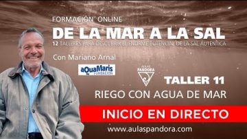 Privado: [ID: NMWGw2wVILI] Youtube Automatic
