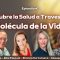 Descubre la Salud a Través de la Molécula de la Vida. Alba Pascual, Zhanna Surovtseva, Giuseppa