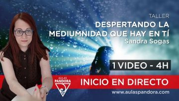 Privado: [ID: Ba5AHka0Aag] Youtube Automatic