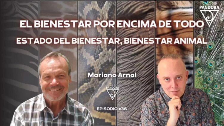 EL BIENESTAR POR ENCIMA DE TODO – Mariano Arnal