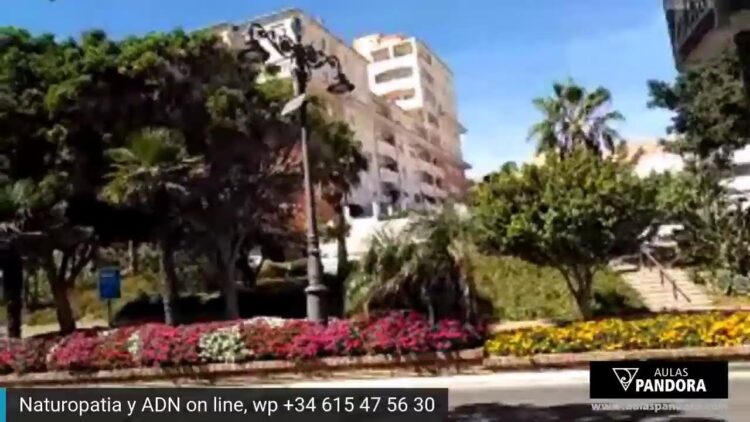 Hierba buena y otras plantas en Estepona en la calle
