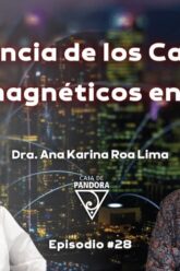 Influencia de los Campos Electromagnéticos en la Salud con Dra. Ana Karina Roa Lima (BQ)