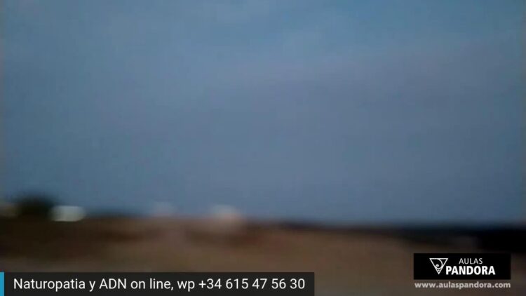Lindo atardecer… ahora en vivo