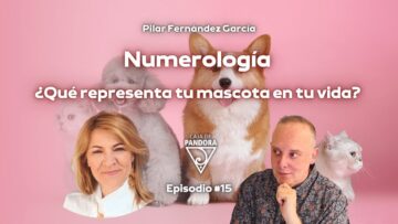 Numerología_ ¿Qué representa tu mascota en tu vida_ con Pilar Fernández García (BQ)
