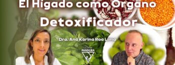 El Hígado como Órgano Detoxificador con Dra. Ana Karina Roa Lima (BQ)