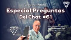 Especial preguntas del chat #61 – Luís Palacios