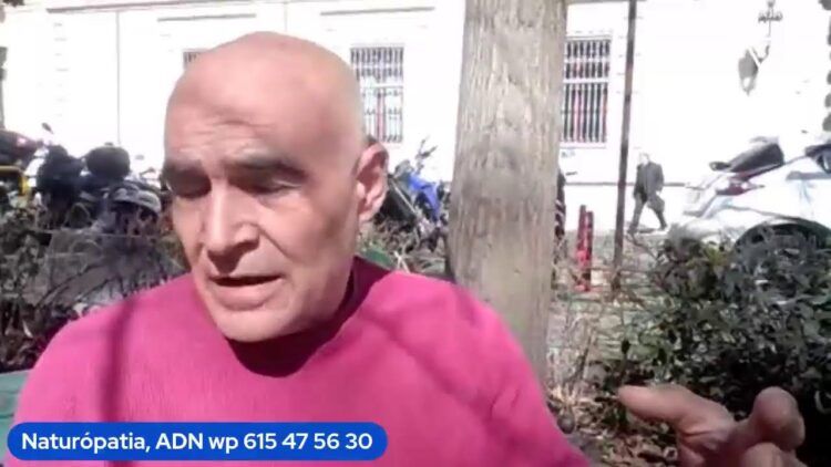 He comido 3 palmeritas choco.¿Pq puede estar dentro de la salud_ ¿No es tan malo el azúcar_ ADN (BQ)