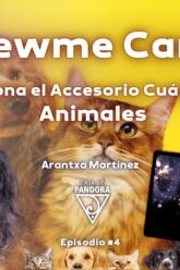 Newme Card_ Cómo funciona el Accesorio Cuántico con los Animales con Arantxa Martínez (BQ)