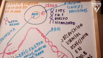 1 ‌encarnacion ‌q ‌puedes ‌influir ‌en ‌la ‌disposicion ‌espaciql ‌de ‌tu ‌adn ‌sanacion ‌5 ‌dimension ‌