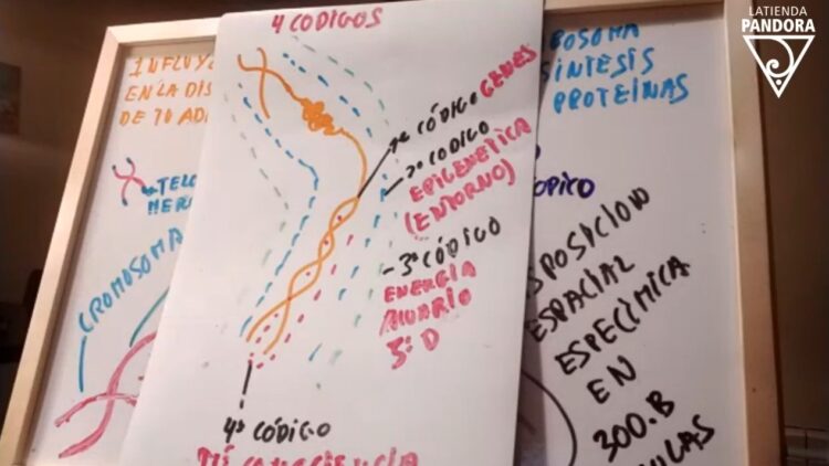 4 ‌codigos ‌geneticos ‌y ‌tu ‌influencia ‌en ‌ellos