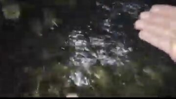 agua ‌de ‌rio ‌cerca ‌del ‌nacimiento ‌en ‌botellas ‌de ‌cristal ‌
