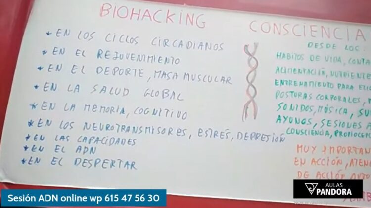 biohakhing ‌consciencial ‌muy ‌util ‌para ‌la ‌salud ‌global ‌y ‌estos ‌momentos ‌evolutivos ‌