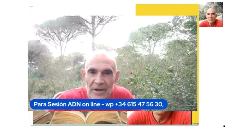 cual-es-el-antioxidante-mas-poderoso-y-para-que-sirve-con-lolo-vidal
