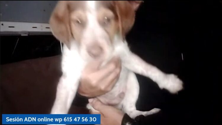 directo ‌a ‌las ‌22h ‌preguntas ‌y ‌resp ‌salud ‌globalmucho ‌de ‌lo ‌que ‌quieras ‌