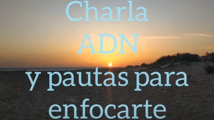 fusion ‌de ‌bioenergetica ‌charla ‌adn ‌y ‌pautas ‌para ‌enforcarse ‌este ‌sabado ‌