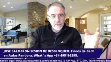 tu-mejor-semana-16