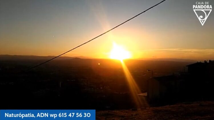 melatonina-su-subcelular-se-activa-con-luz-rojiza-del-atardecer-en-vivolv