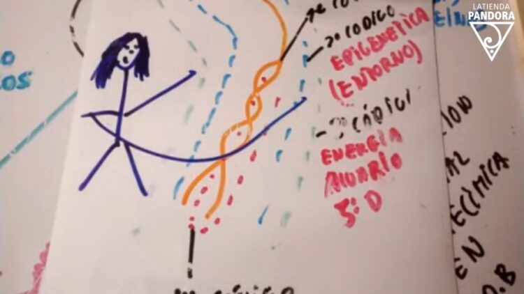 mujer ‌empoderate ‌desde ‌el ‌ser ‌adn ‌registros ‌akashicos ‌