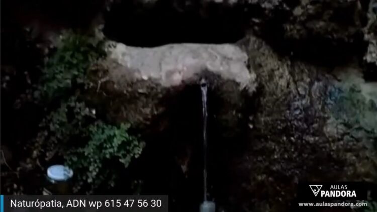 propiedades-agua-de-manantial-en-directo-lv