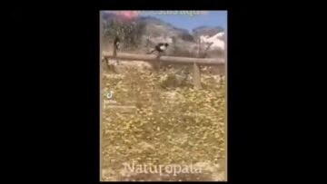 sube ‌vibra ‌en ‌31 ‌seg ‌buen ‌video ‌para ‌compatir ‌