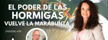 EL PODER DE LAS HORMIGAS. VUELVE LA MARABUNTA con Yolanda Soria (BQ)