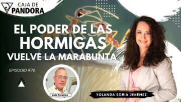 EL PODER DE LAS HORMIGAS. VUELVE LA MARABUNTA con Yolanda Soria (BQ)