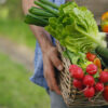 Beneficios-de-la-agricultura-ecologica-para-una-alimentacion-saludable.jpg