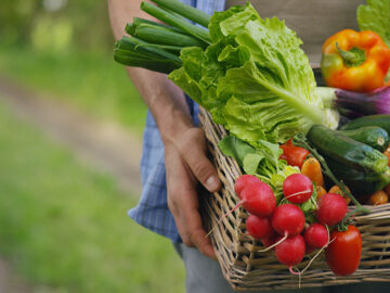 Beneficios-de-la-agricultura-ecologica-para-una-alimentacion-saludable.jpg