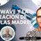 Lifewave y la Creación de Células Madres con Javier Lorente (BQ)