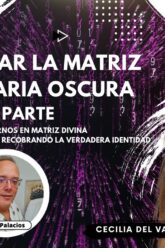 DESMONTAR LA MATRIZ PARASITARIA OSCURA Y DESPLEGARNOS EN MATRIZ DIVINA 2 con Cecilia Del Valle Dabós (BQ)