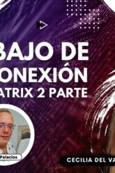 Trabajo de Desconexión de la Matrix 2 parte con Cecilia Del Valle Dabós (BQ)