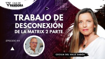 Trabajo de Desconexión de la Matrix 2 parte con Cecilia Del Valle Dabós (BQ)