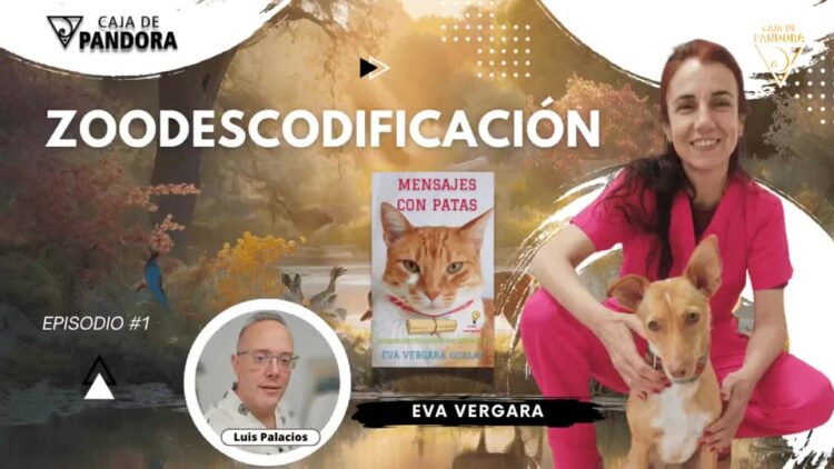 2024-11-26_Luis Palacios_ZOODESCODIFICACIÓN con Eva Vergara Ucelay_431107346537520