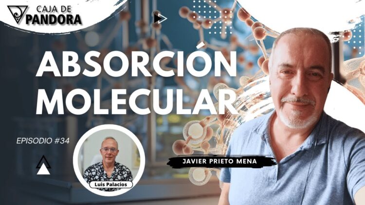 ABSORCIÓN MOLECULAR con Javier Prieto Mena (BQ)