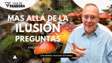Luis Manuel Palacios Gutiérrez