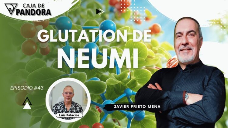 GLUTATION DE NEUMI con Javier Prieto Mena (BQ)