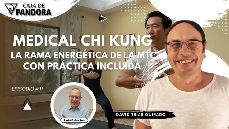Medical Chi Kung, la rama Energética de la MTC. Con Práctica Incluida con David Trías Guirado (BQ)