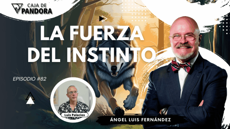 Ángel Luis Fernández